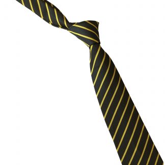Black with Gold Narrow Stripe School Tie