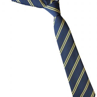 Black and Gold Double Striped School Tie