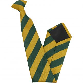 Bottle Green and Gold Block High School Clip On Tie
